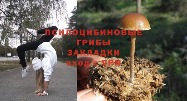 экстази Богородицк