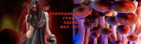 прущие крисы Богданович