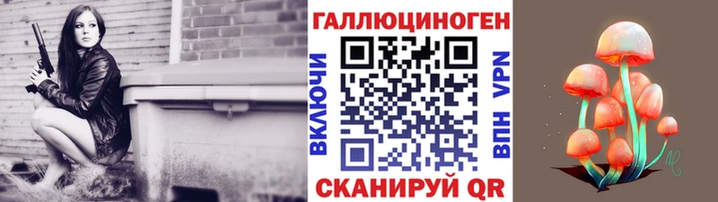 мега Боровск Псилоцибиновые грибы MAGIC MUSHROOMS